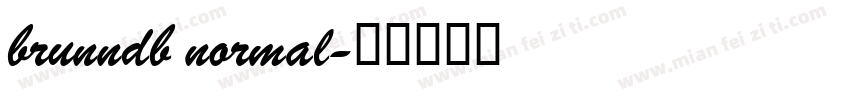 brunndb normal字体转换